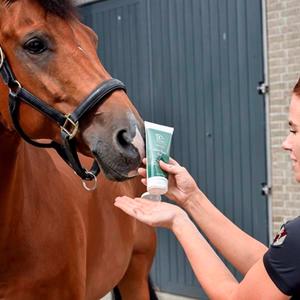 Blue Hors Aloe Vera Gel